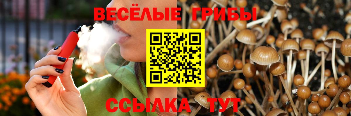 Норильск  купить  сайты  Вход с VPN  Галлюциногенные грибы Cubensis 